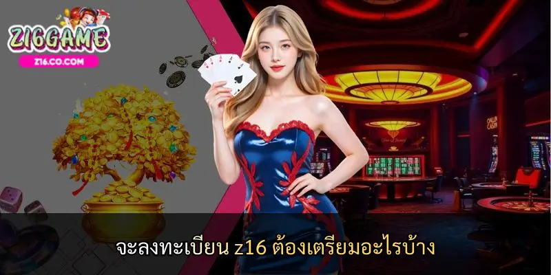 จะลงทะเบียน z16 ต้องเตรียมอะไรบ้าง