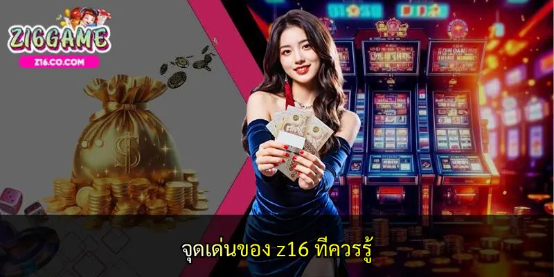 จุดเด่นของ z16 ที่ควรรู้