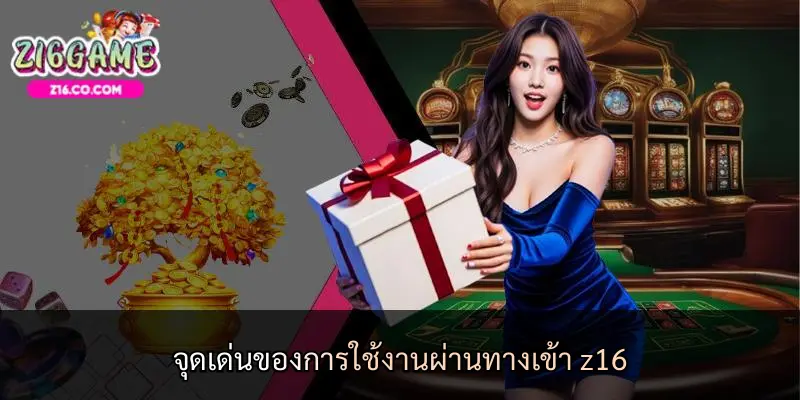 จุดเด่นของการใช้งานผ่านทางเข้า z16