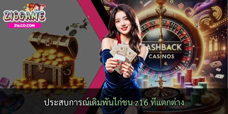 ประสบการณ์เดิมพันไก่ชน z16 ที่แตกต่าง