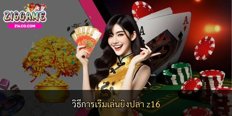 วิธีการเริ่มเล่นยิงปลา z16