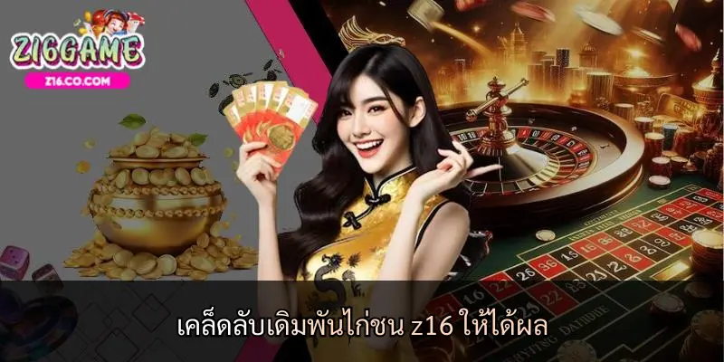 เคล็ดลับเดิมพันไก่ชน z16 ให้ได้ผล