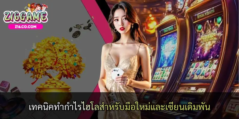 เทคนิคทำกำไรไฮโลสำหรับมือใหม่และเซียนเดิมพัน