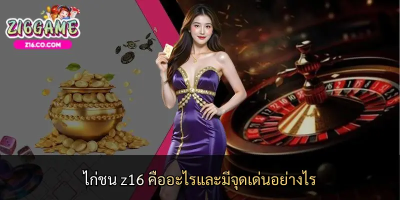 ไก่ชน z16 คืออะไรและมีจุดเด่นอย่างไร