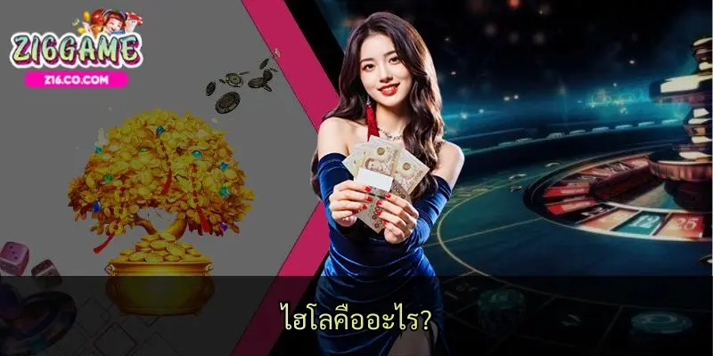 ไฮโลคืออะไร?